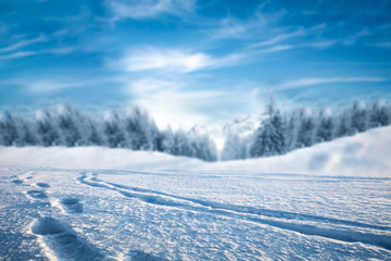 Fototapeta na wymiar Winter background of free space and ice road 