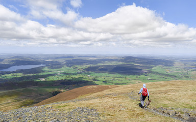 A hiker and their dog descending the summit of Skiddaw towards Barkbethdale Gill, the English Lake...