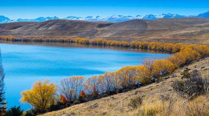 Naklejka premium Beautiful Autumn Colours