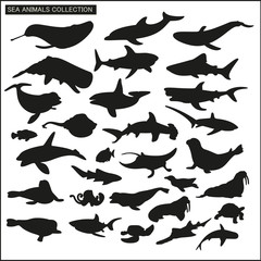 Sea animals silhouette collection on white background