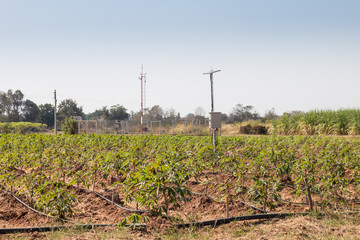agriculture and Internet of things , smart farmer