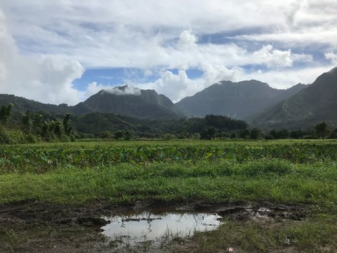 Hanalei mountains after a rainy cloudy day