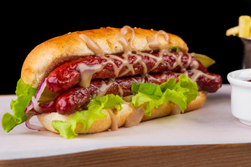 hotdog with fries on a black background