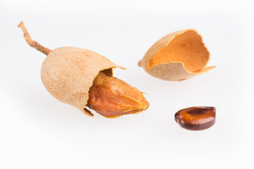 Tamarind tropical fruit - Tamarindus indica. Top view