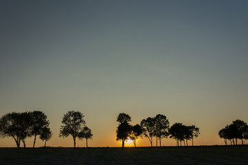 Fototapeta na wymiar The setting sun behind trees on the horizon and cloudless sky