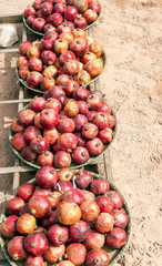 Several red apples