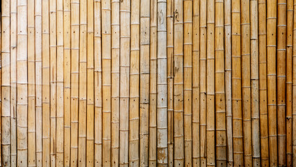 Dry Bamboo Wall tied with rope Texture Background