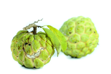 Sugar apple Close up