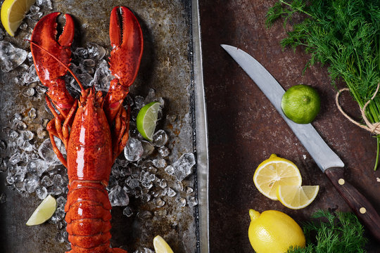 Lobster in a dark grey rusty tray served on ice with lemon and live, top view, vintage style..