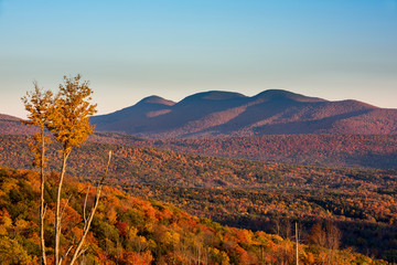 Blackhead Range in the Catskill Mountains of New York - 243675560