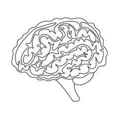 Vector illustration of anatomy and organ sign. Collection of anatomy and medical vector icon for stock.