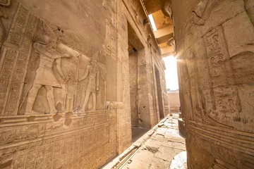 Foto op Plexiglas Entrance to the Temple of Kom Ombo built by the ancient Egyptian civilization near Thebes (Luxor) and Aswan © Calin Stan