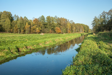 A quiet river flowing through a meadow and a forest