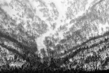 Beautiful mountain winter landscape with trees and snow. Hokkaido nature, Japan. Hills in winter. Travelling in winter Asia.