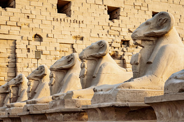 The Ram statues in front of Karnak Temple, Luxor, Egypt