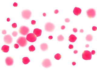 Pink rose petals falling vector valentine background.