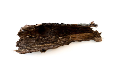 tree bark isolated