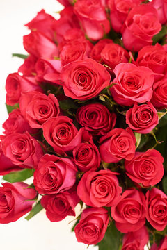 Fresh cut red roses and arrangements in florist shop, tracking shot