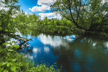 Blue cloudy sky and silent river through the green forest in summer. Beautiful summer landscape.
