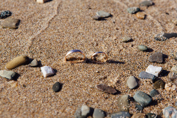 Fototapeta na wymiar Two wedding rings in the sand on the beach