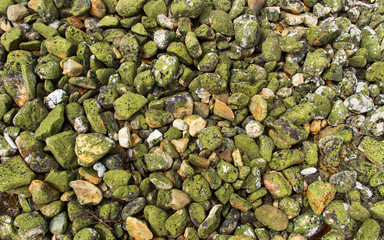 Piedras o Cantos rodados amontonados, cubiertos de musgos y liquenes, procedentes de la antigua mineria romana de extracción de oro 