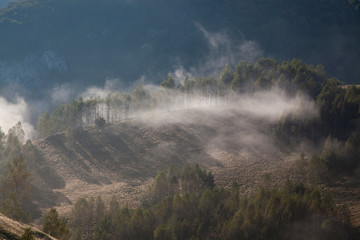 foggy summer landscape in the mountains, Salciua, Romania