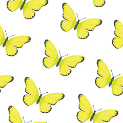 Butterfly seamless pattern vector. Summer butterflies background.
