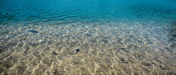 Beautiful coast area with clear and turquoise water in a lake within the Plitvice National Park in Croatia
