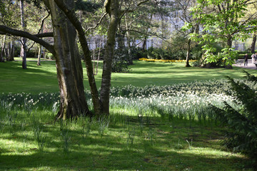 Jardin au printemps à Paris