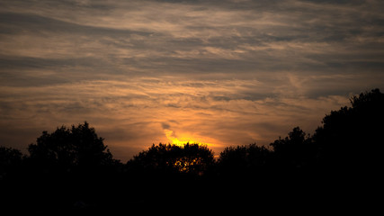 Fototapeta premium Dutch nature water trees sunset