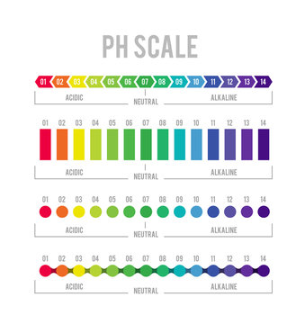 pH meter for measuring acid alkaline balance. Vector infographics in the circle form with pH scale