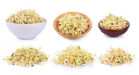 bean sprouts, soybean sprouts on white background