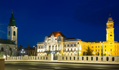 Fototapeta na wymiar Illuminated Oradea city hall