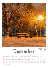 Printable A4 calendar: month of December 2019. Nature, minimalist calendar.