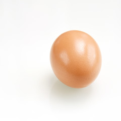 Brown Egg isolated