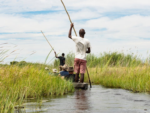 Local man working on Mokoro to deliver tourists and campers across the rivers of the Delta Okawango, Botswana
