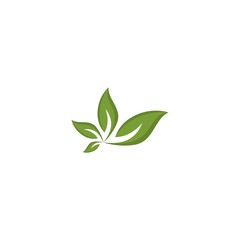 Leaf Gardening Nature Abstract Ecology Business Logo