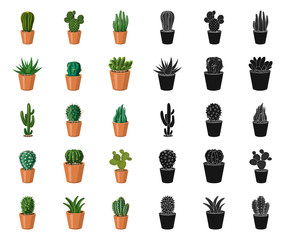 Vector design of cactus and pot icon. Collection of cactus and cacti vector icon for stock.