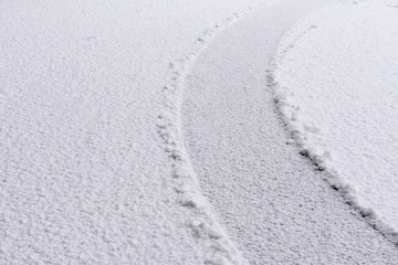ground covered with fresh snow, white wallpaper, snowy background and texture