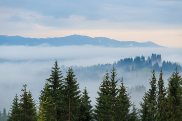 Beautiful sunrise at the foggy mountain range