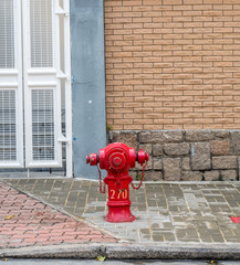 Red fire hydrant on pathway