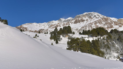 Obraz premium Favoloso paesaggio innevato invernale, in montagna con pini verdi