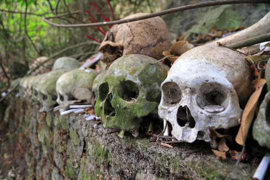 Cemetery in Trunyan village, Lake Batur, Bali, Indonesia