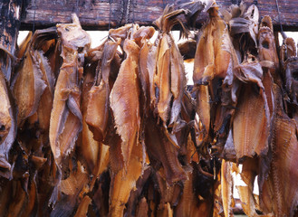 Norway; the stockfish oindustry of the Lofoten