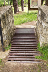 Iron entrance to a beautiful green park in the countryside
