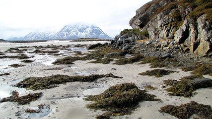 Norway; the shallows near Laukvik on the Lofoten