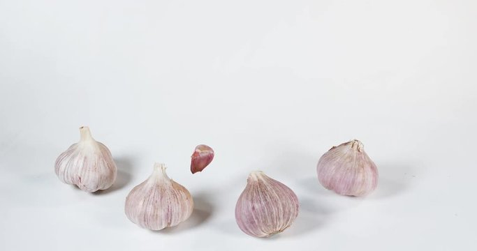 Garlic, allium savitum, Falling against White Background, Slow motion 4K