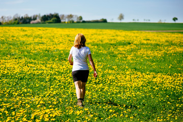 A woman is hiking through a yellow flowering meadow on a sunny spring day