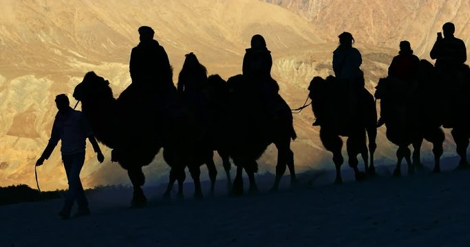 Silhouettes of camels and tourists in safari trip caravan on Ladakh sand dunes