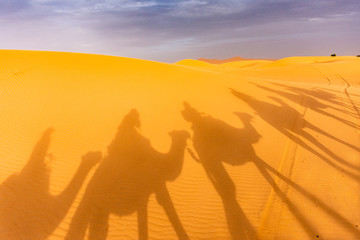 Fototapeta na wymiar Shadows of camels in the desert, Morocco